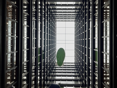 Token-Backed Mortgage Launches in the U.S: A Major FinTech Breakthrough